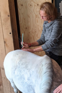 ekvedo Therapeutin Kristina Geisenberger