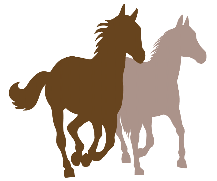 Logo ekvedo nur Pferde