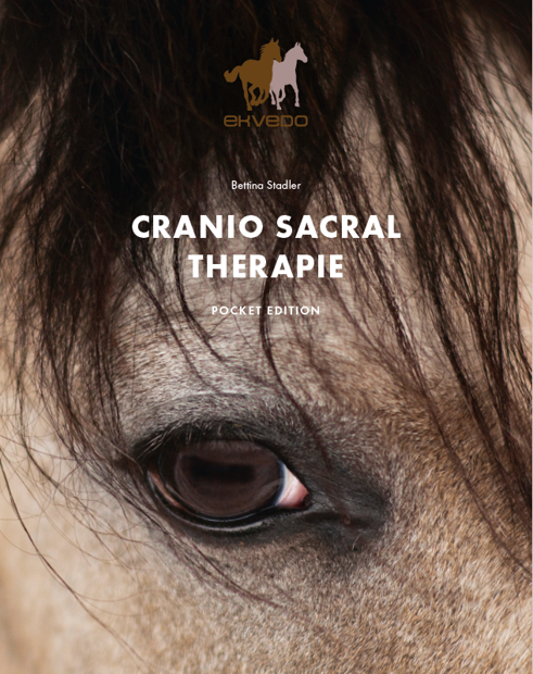 cranio sacral therapie bei pferden