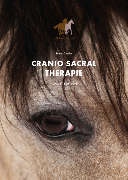 CRANIO SACRAL THERAPIE für Pferde