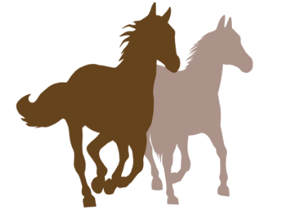 ekvedo - Von gesunden Pferden lernen