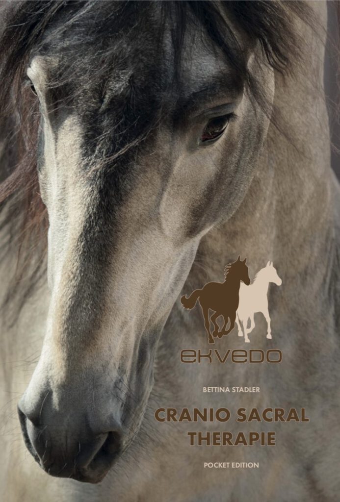 CRANIO SACRAL THERAPIE für Pferde