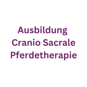 Ausbildung Cranio Sacral Therapie