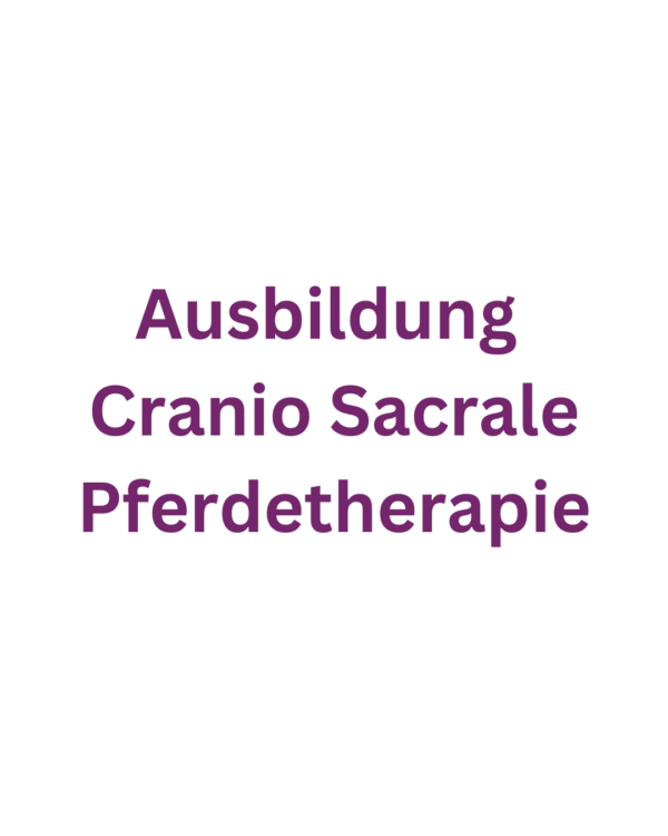 Ausbildung Cranio Sacral Therapie